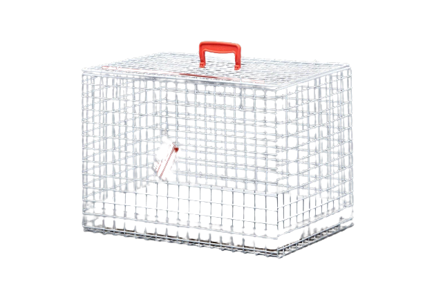 Awesome Product Image