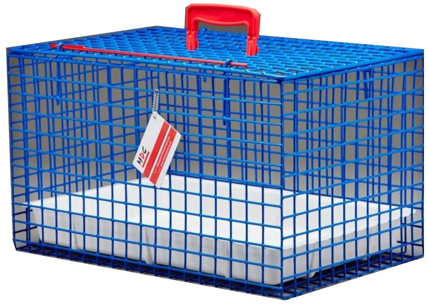 Awesome Product Image