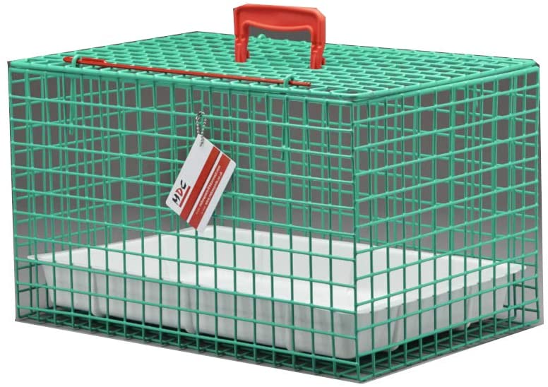 Awesome Product Image